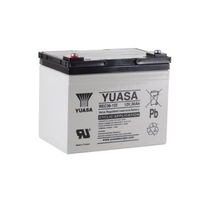 Аккумулятор YUASA REC36-12I